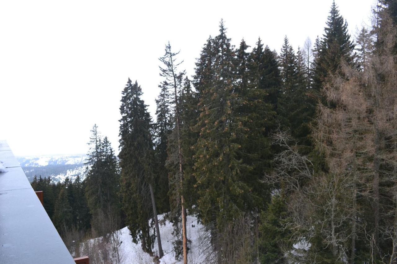 Panorama Apartmany Štrbské Pleso Εξωτερικό φωτογραφία